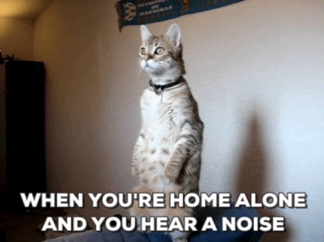 When You’re Home Alone and You Hear a Noise