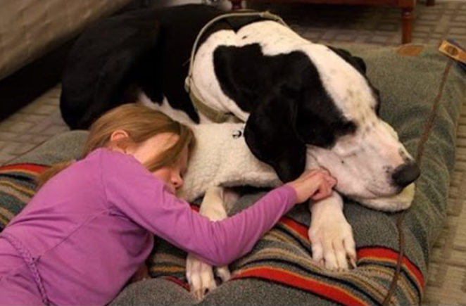 Service Dog Helps A Sick Girl Walk Again